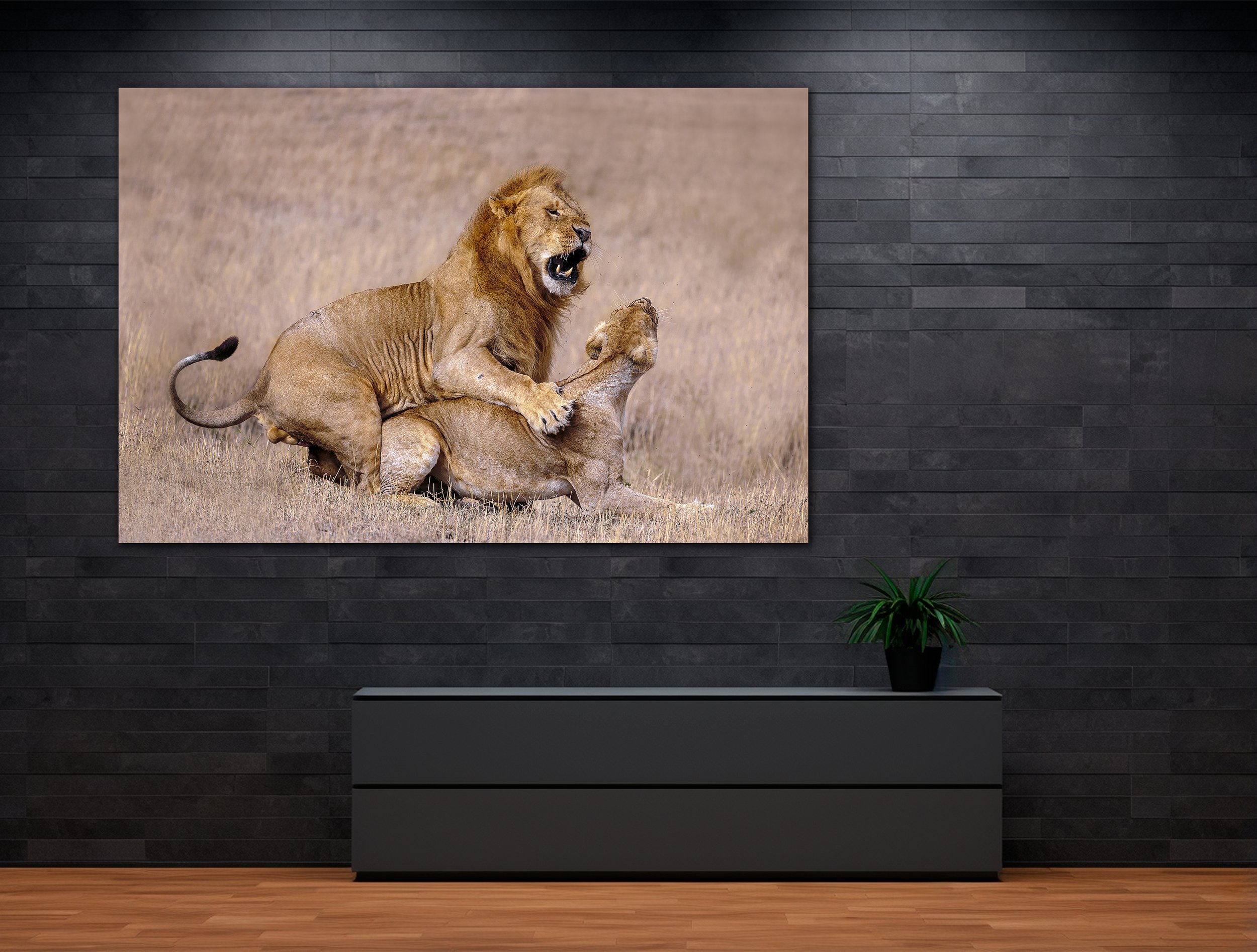 violent black hall.jpg