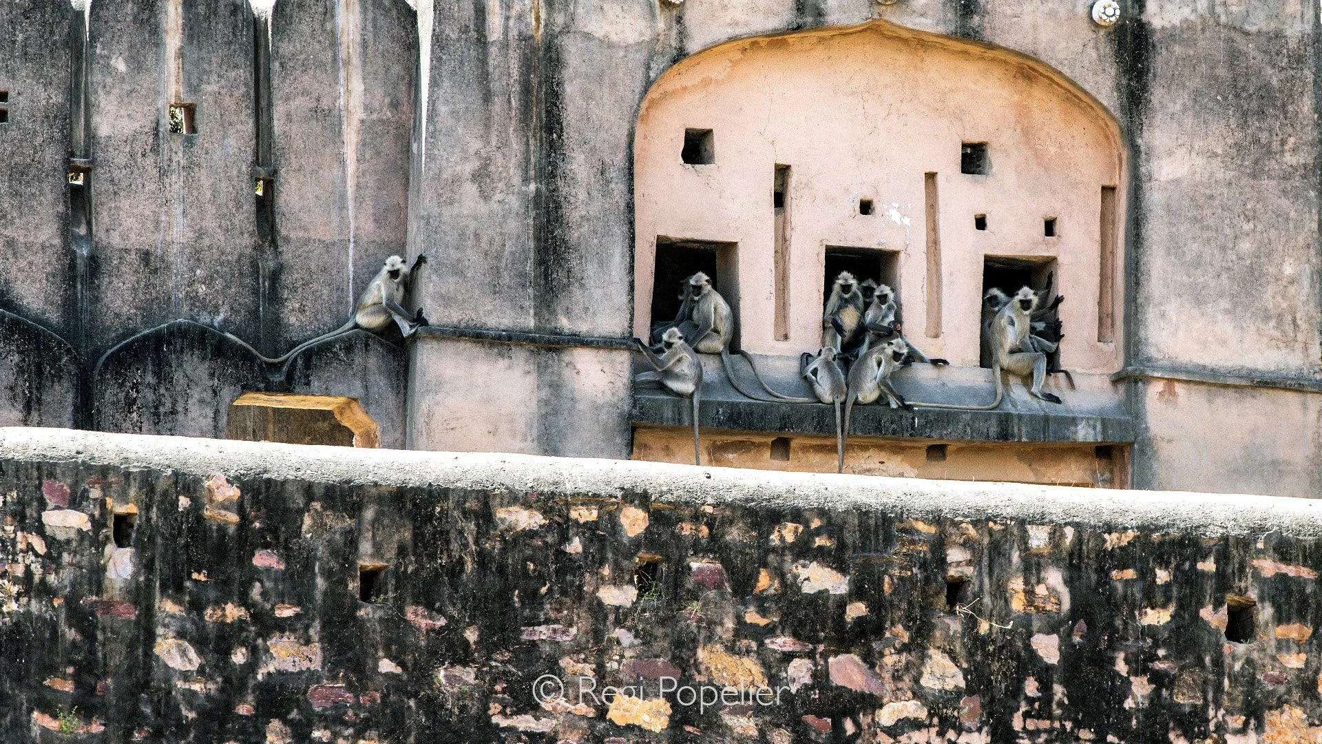 INDIA025 - image made at the entrance of Ranthambore NP 