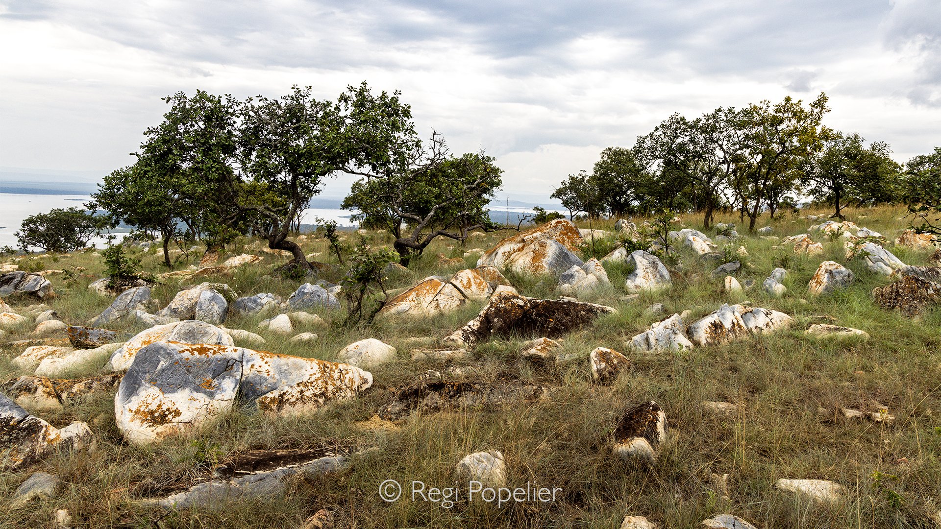 RWANDA062  - Weathered rock formations rise from the rolling landscape of Akagera National Park, their rugged surfaces shaped by countless centuries of wind and rain. Surrounded by sweeping savannah and scattered acacia trees, these ancient outcrops 