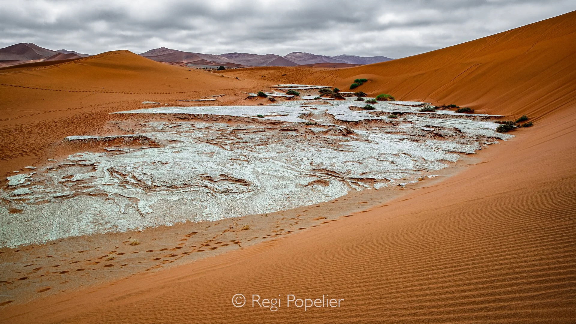 Namibia061 - The survival of the clay pans.