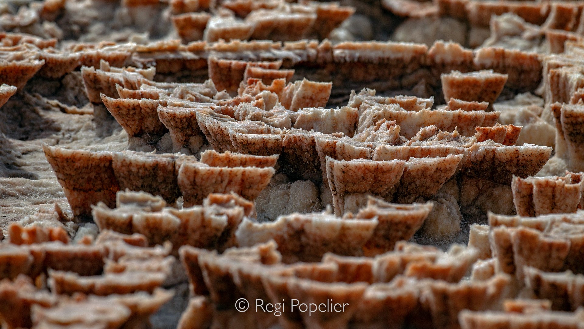ETH042 - Detail of the salt layers , as if it were corals.