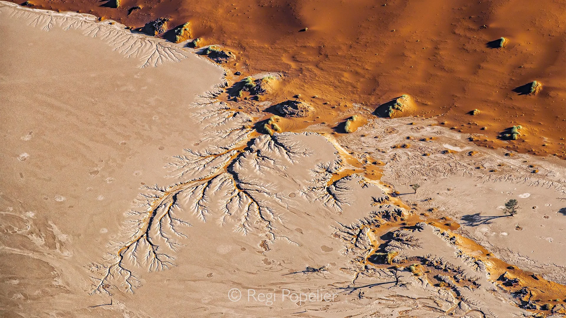 Namibia099 - From the air, the true geometry of Deadvlei becomes clear. The branching extensions of the clay floor serve as a geological record of old riverbeds. This unique layout provides a spectacular high-contrast matrix for a photographer, provi