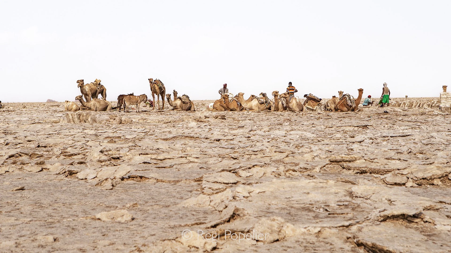 ETH033 - People start at 5 am the hard labor to avoid high temperatures who could easily raise above 50 ° celsius during the day