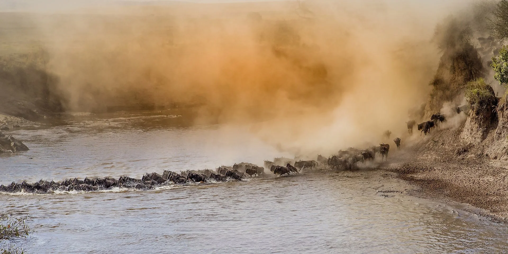 LE 002  Never Ending Journey  zonder logo.jpg