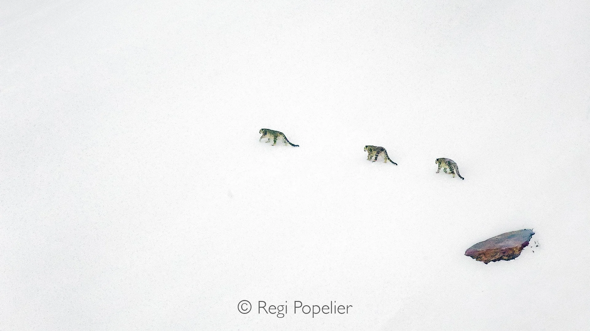 HIMA038 - On vadrouille 