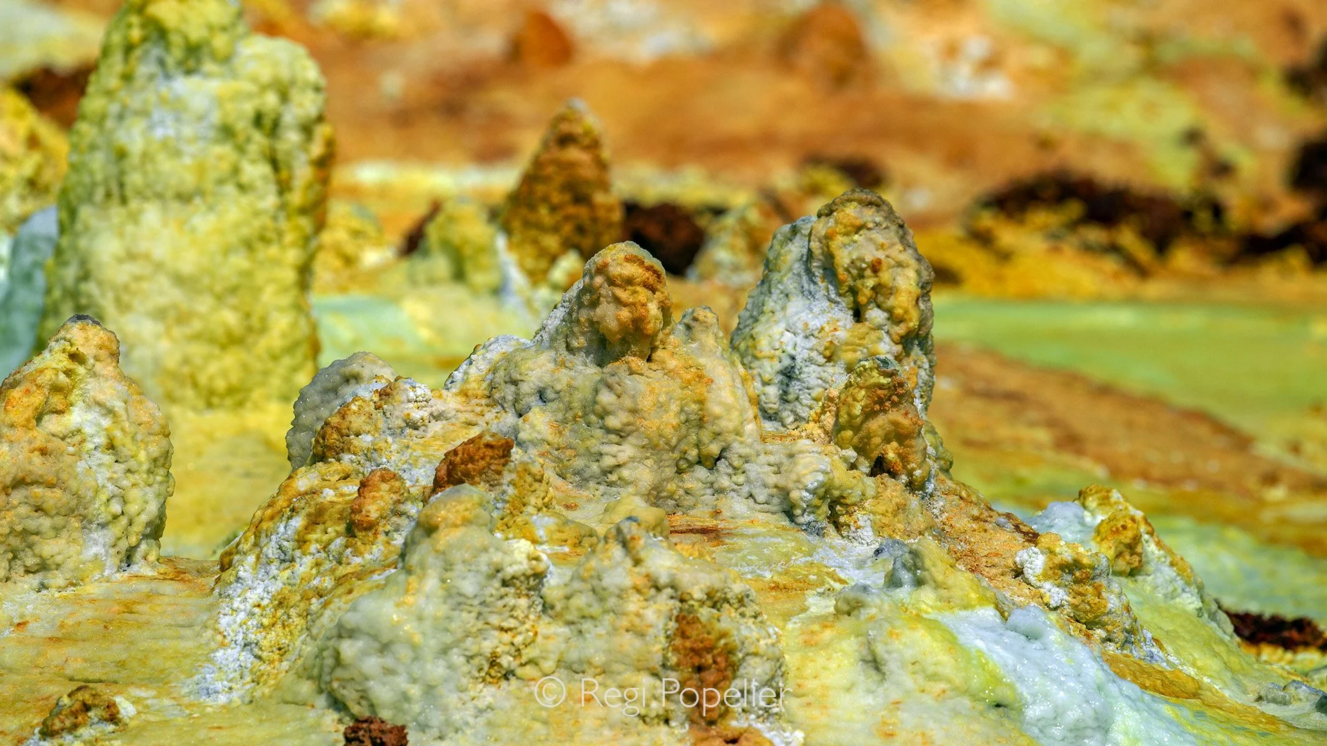 ETH043 - A symphony of colors In a toxic environment.