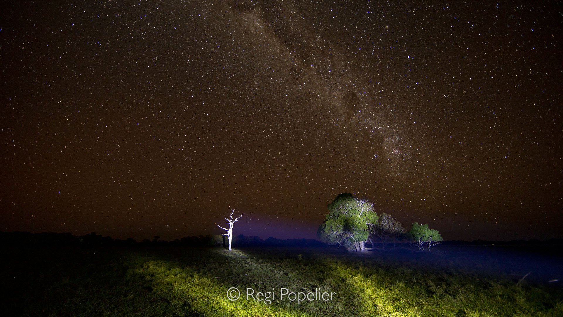 BRA015 - Stargazing in the vast Brazilian Cerrado, where the night sky reveals a tapestry of stars,  far from city lights.