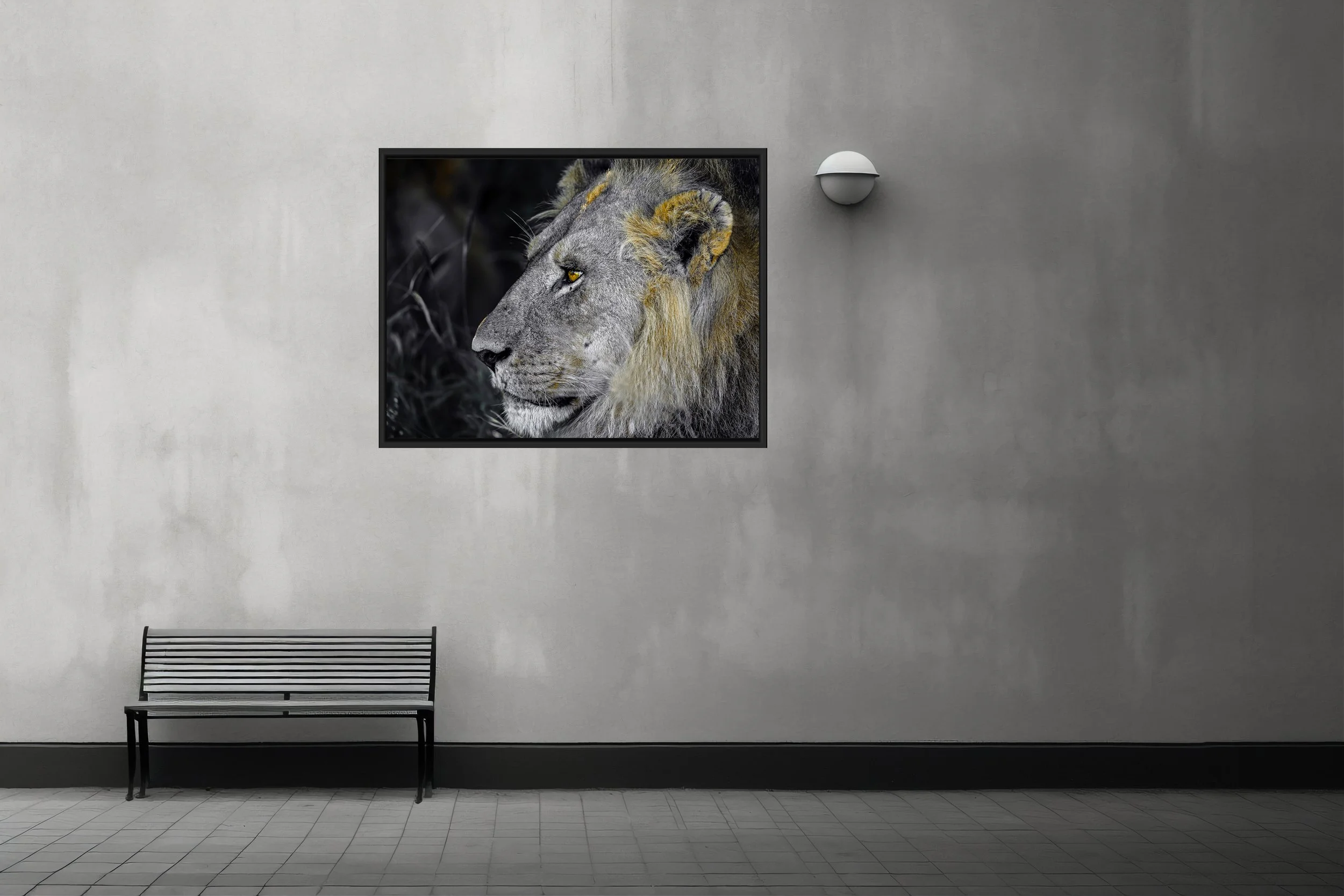 gang grijs - the stare kopie.jpg