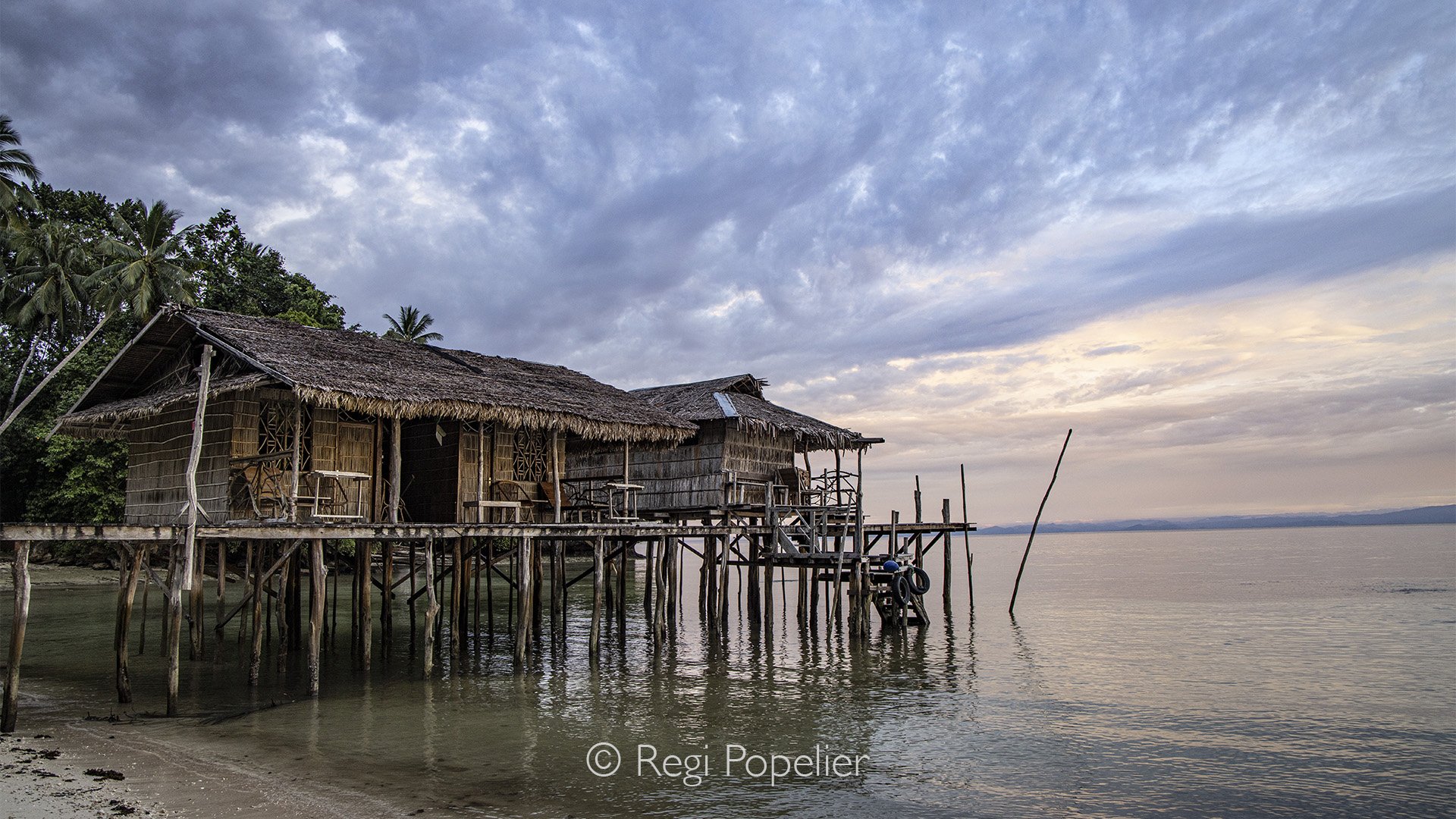 INDO081 - My seven day stay on Waigeo, West Papua the starting point for photographing Birds of Paradise, was unfortunately overshadowed by rain and stormy weather. I lost six out of seven days to the relentless conditions. Nevertheless, even during 