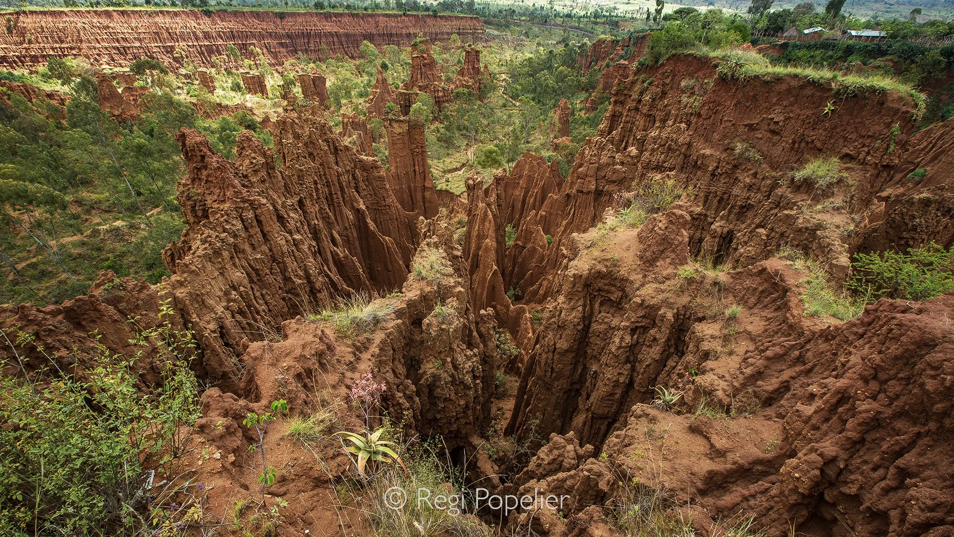 ETH028 - Bizar landscape at the Konso area. 