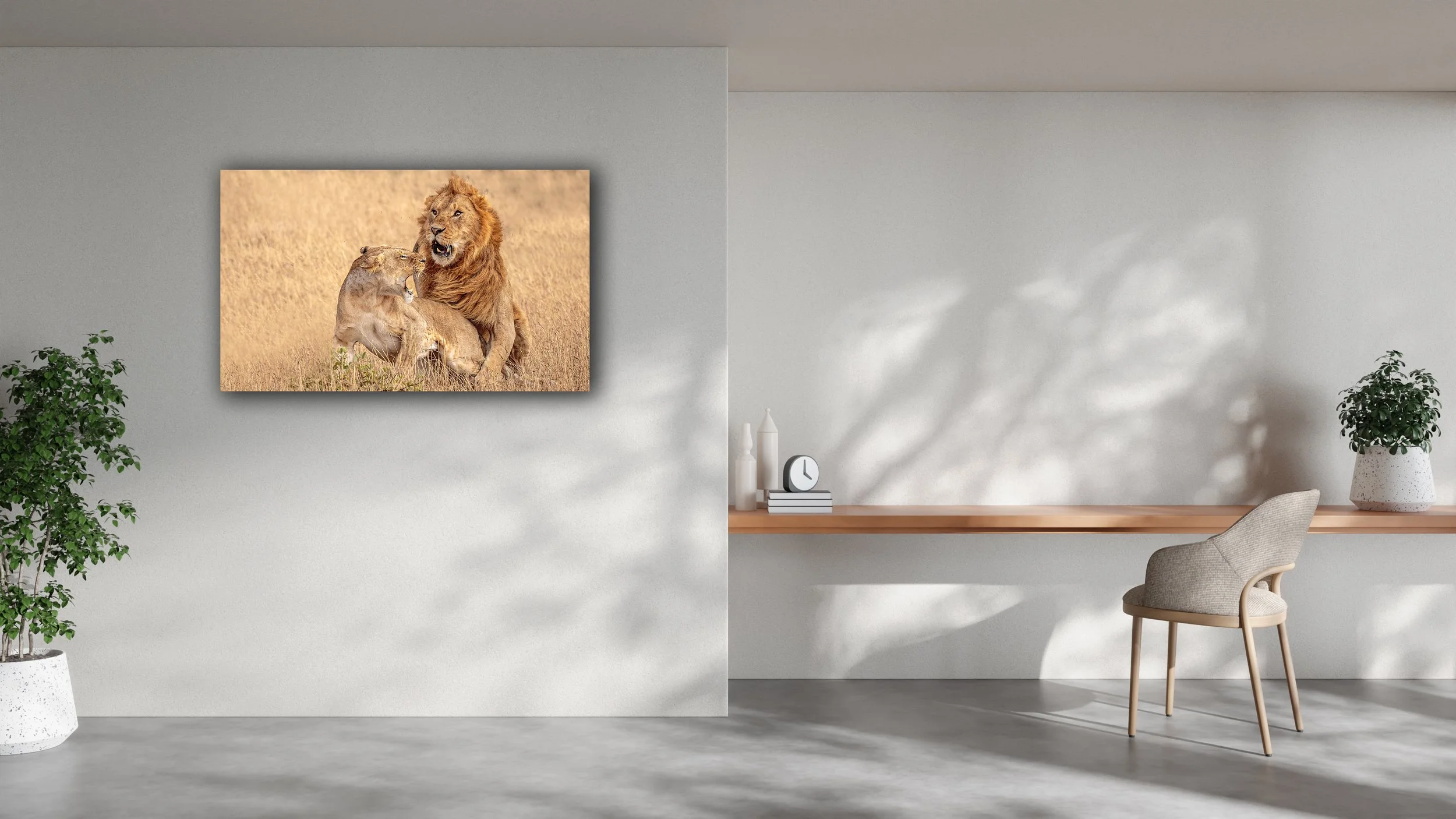 living grijs - forced.jpg