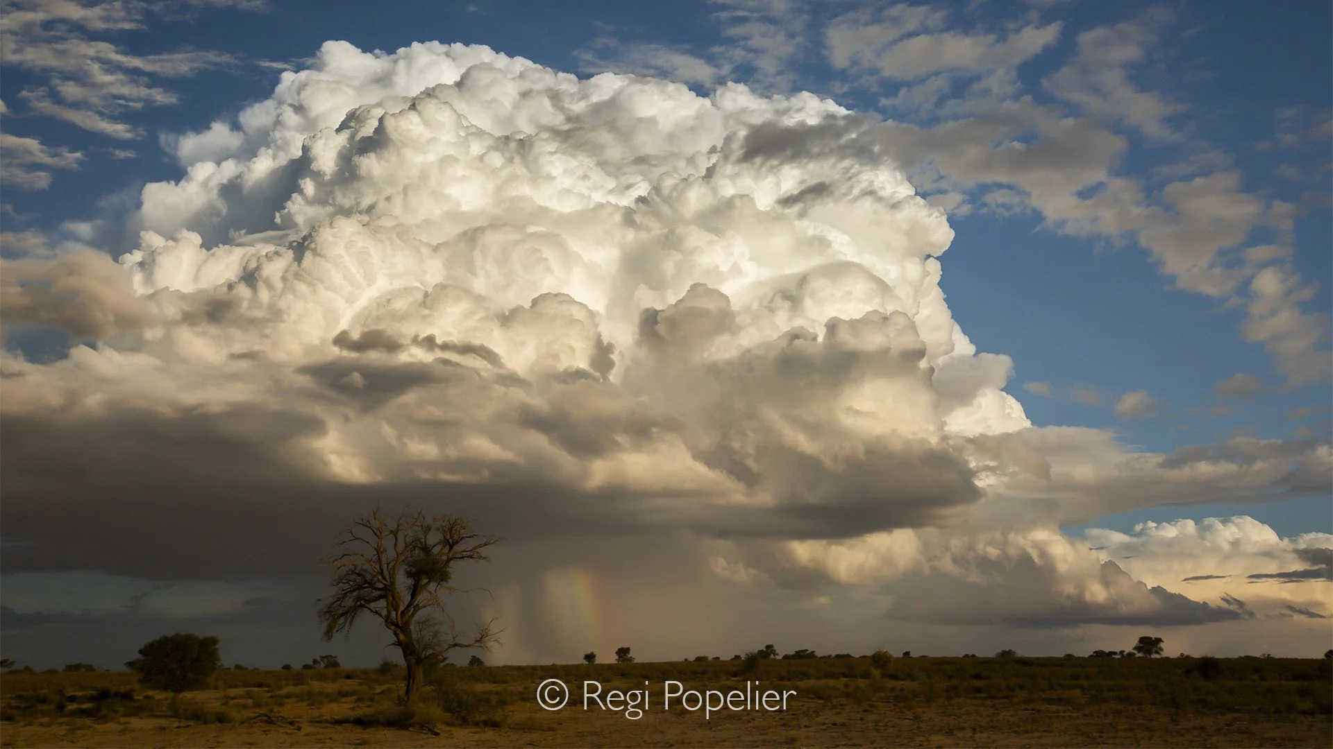 South Africa005 - Above the endless dunes, towering white clouds rise like monuments into the African sky. Sunlight filtering through their edges unveils subtle spectral colors, painting delicate hints of violet, blue, green, yellow and crimson acros