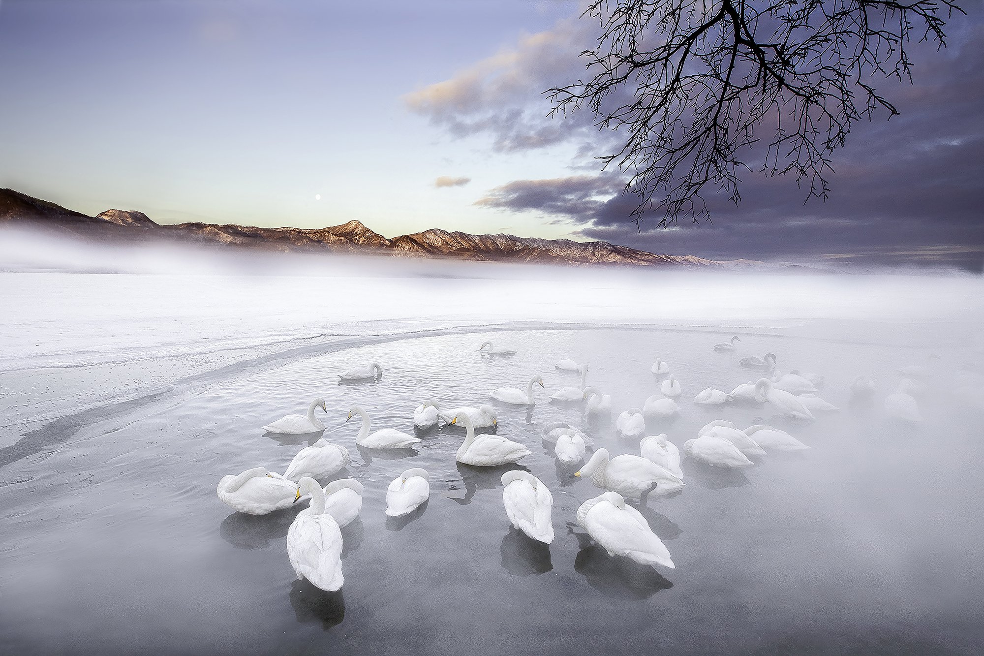 LS 002 Hot Springs  150X100 kopiëren.jpg