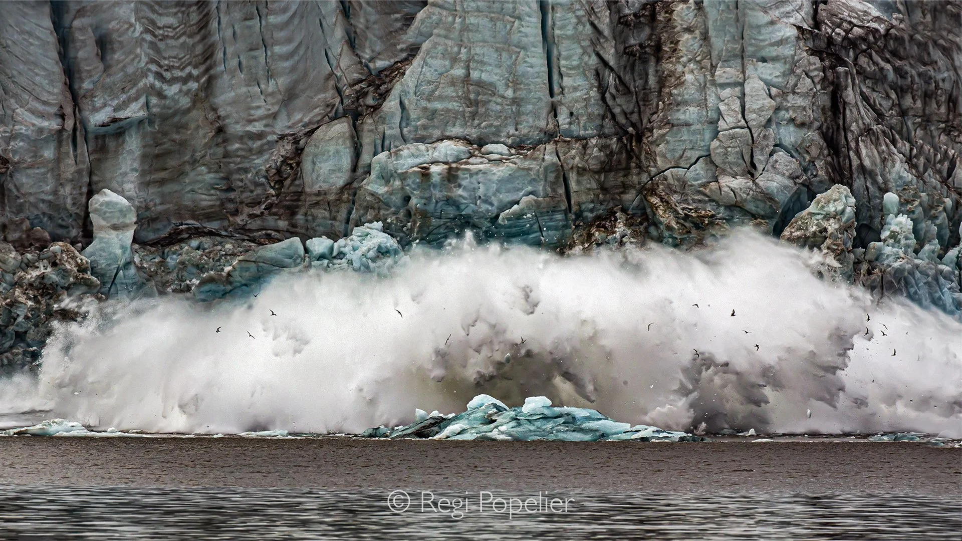 NPOLE004 - A dramatic moment as a piece of ice breaks away and crashes into the sea.Seabirds circle above the glacier, adding life and movement to the frozen landscape. What a moment to witness. 