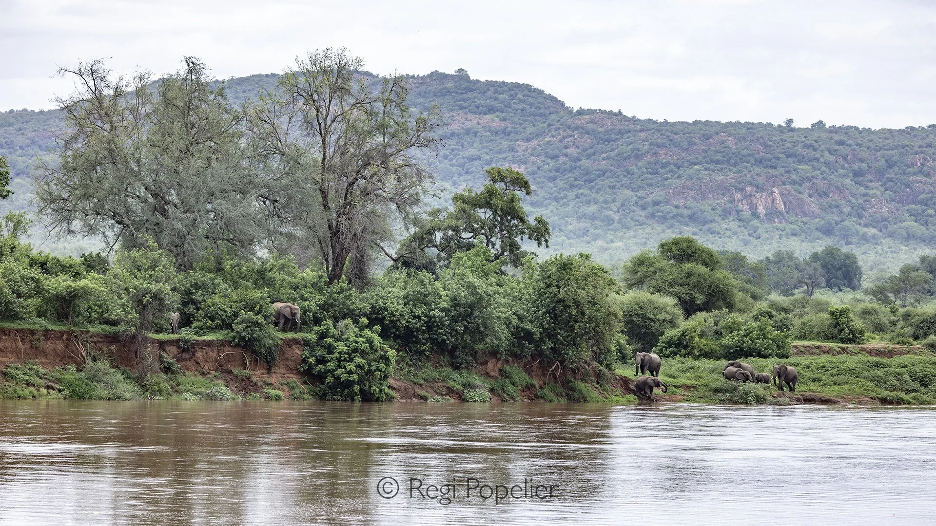 South Africa099 - From another angle at pafuri. Limpopo river Northern Kruger.  