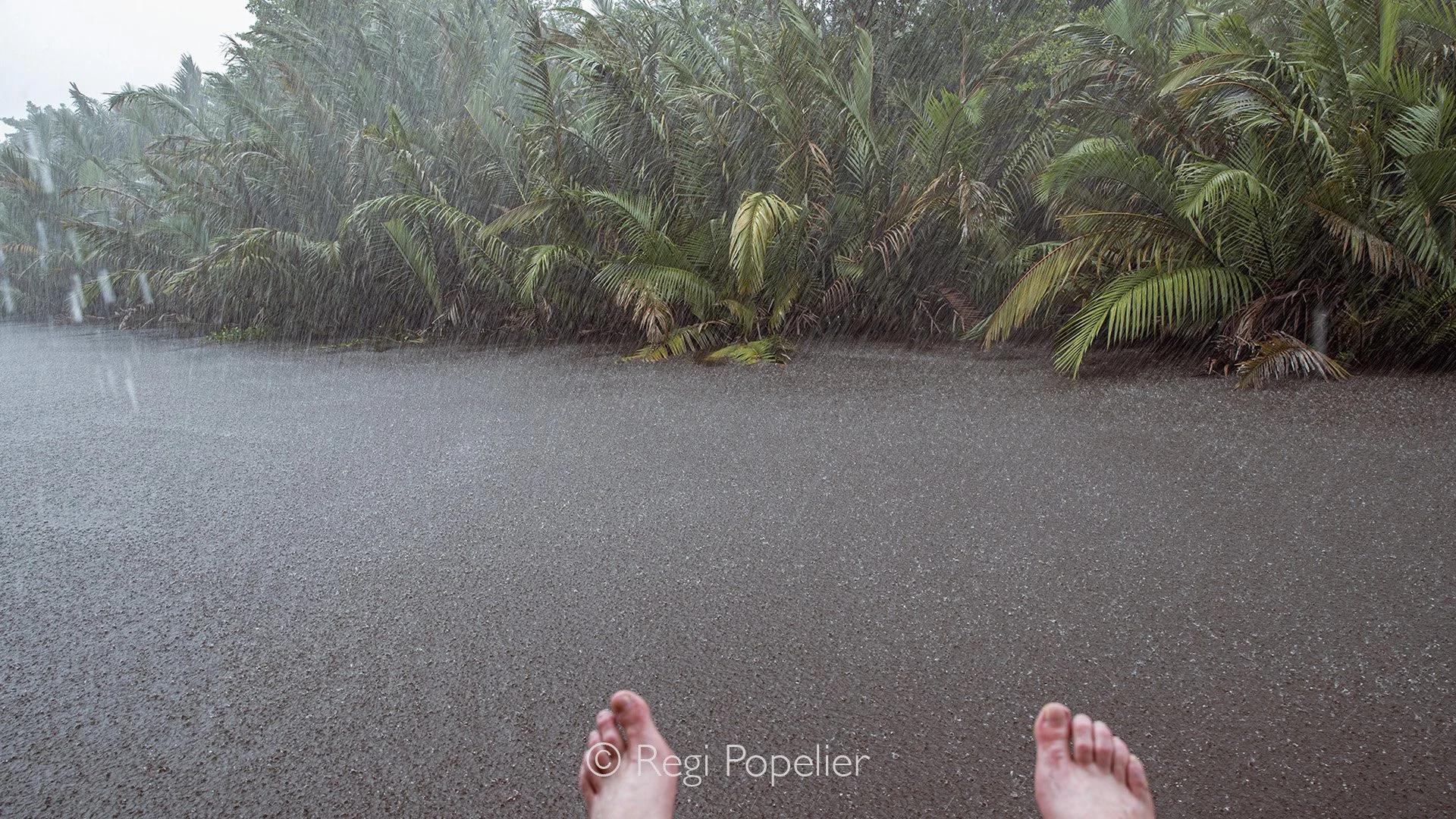INDO003 - Absolutely relaxing when the heaven opens her gates and drops find their way to earth. 