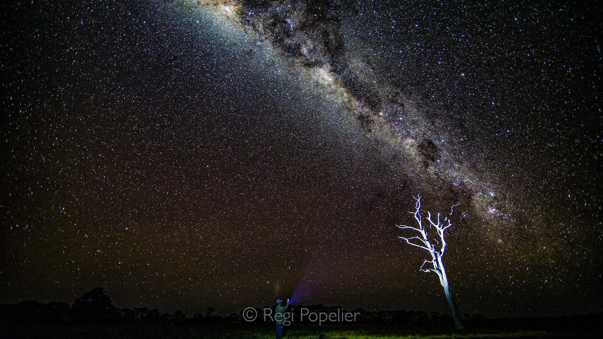 BRA004 - The Milky Way photographed at evening over the Brazilian Cerrado, where vast savannas fall silent and the night sky unveils a river of stars stretching across the horizon.