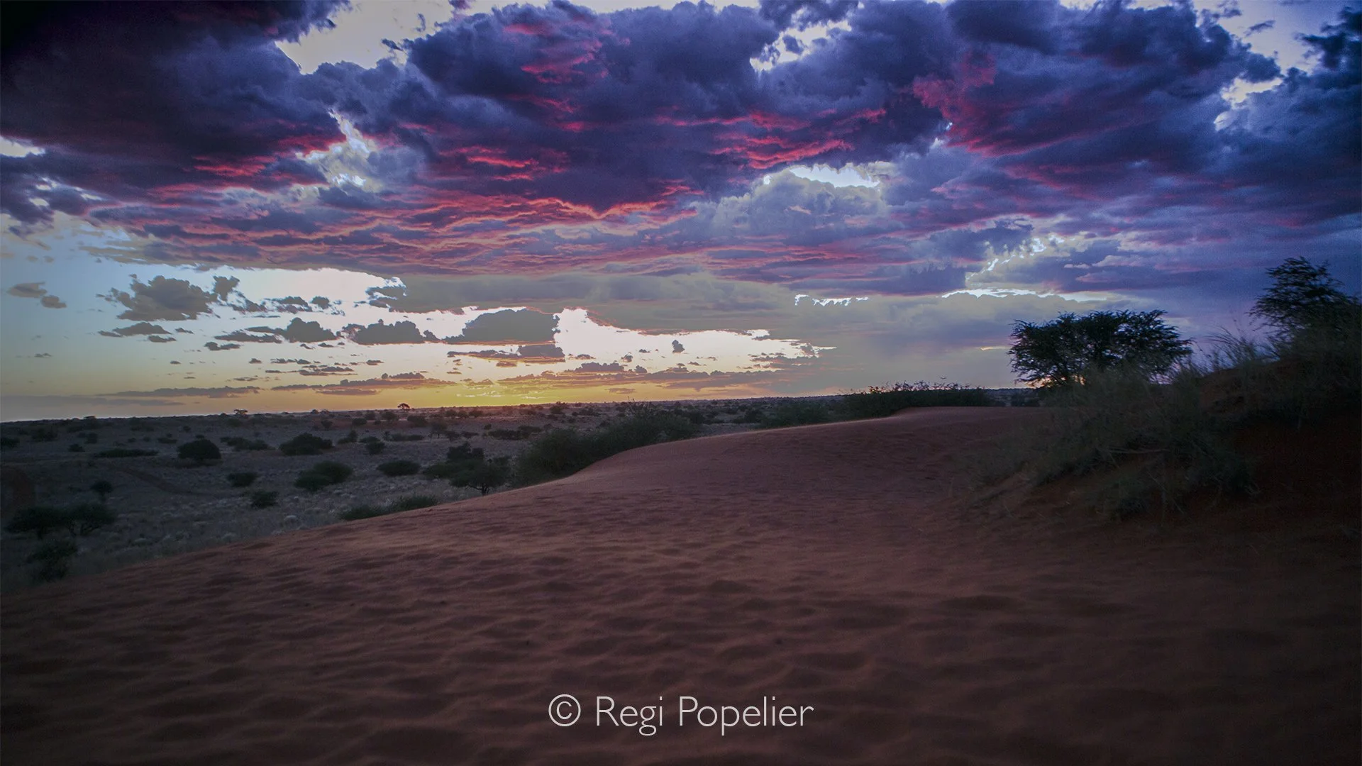 Namibia003 - On the road to Quiver 