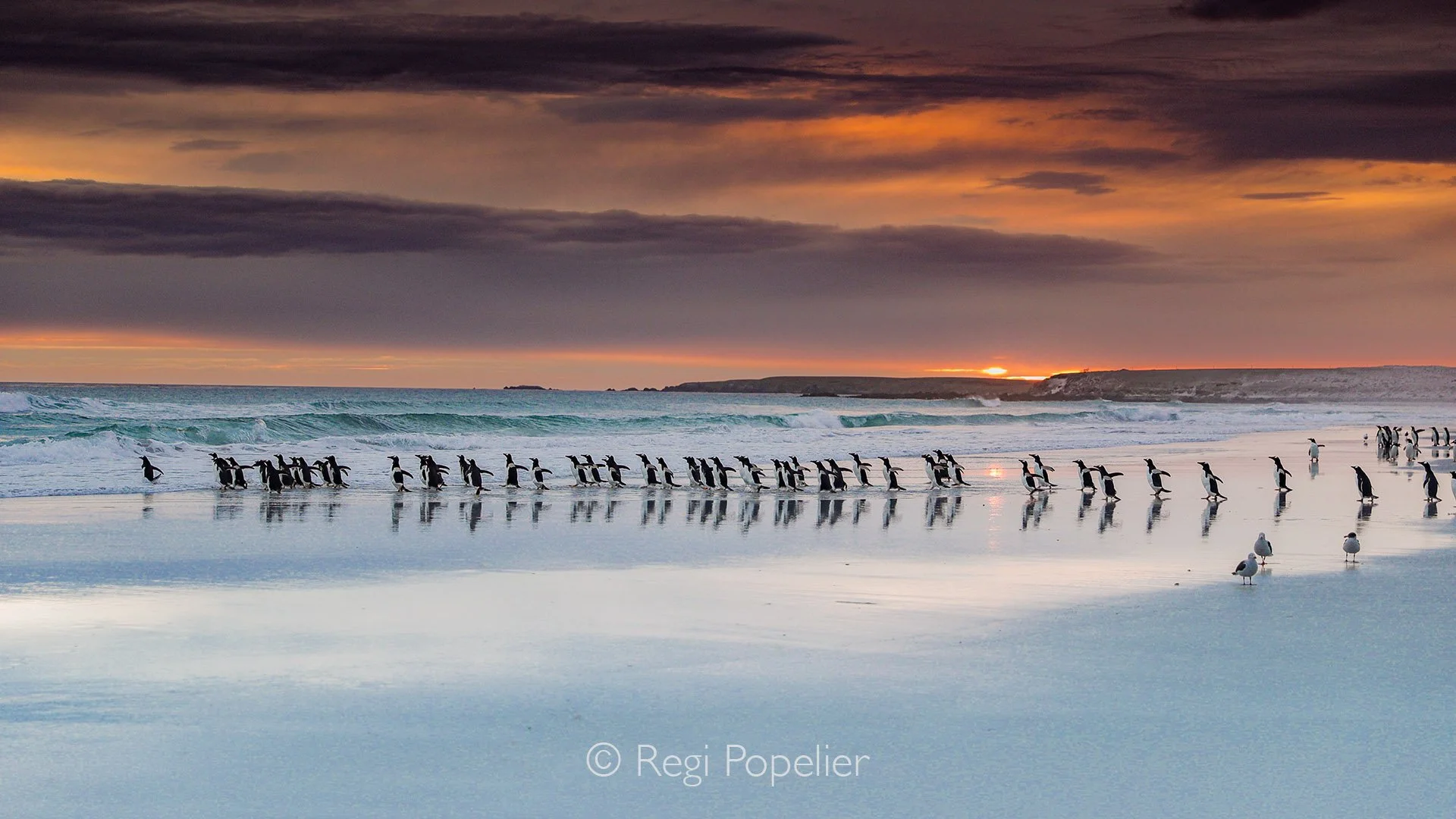 FAL031 - Sunset transforms the sky into a riot of colors, making it impossible to leave while photographing.