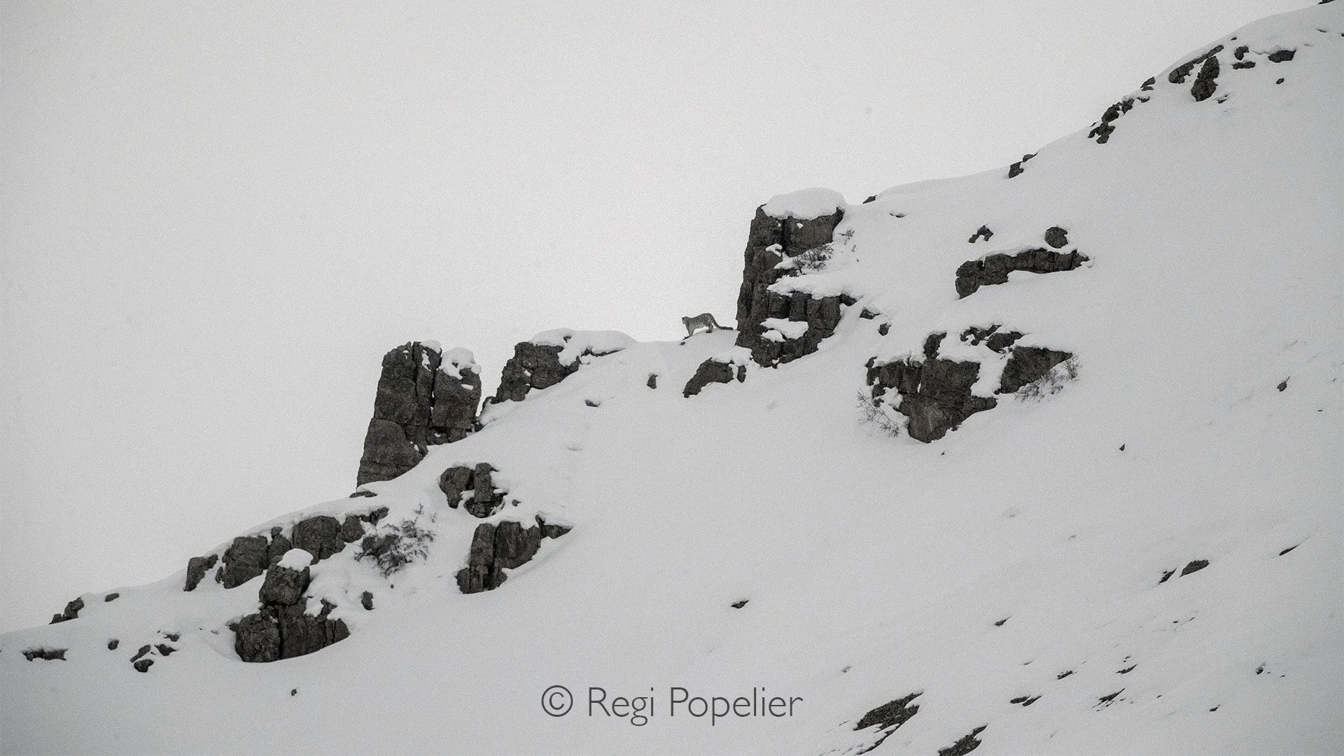 HIMA033 - From a distance at the edge of the mountain.

