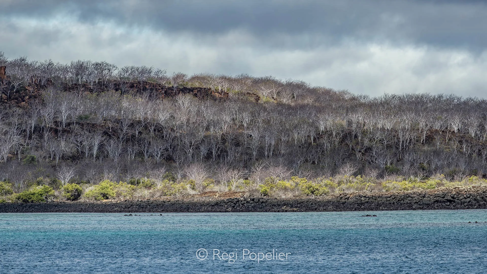 GAL004 - Along the coast line of one of the many islands we visited during our stay.