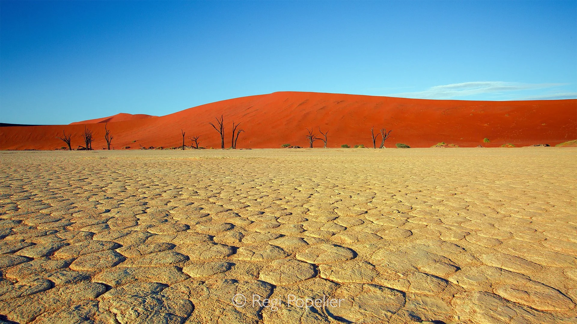 Namibia054 - A study in elemental contrast. Photographing this landscape requires careful exposure control to capture the intense dynamic range. The brilliant yellowish clay, the saturated rust-red sand, and the deep blue sky create a surreal, timele