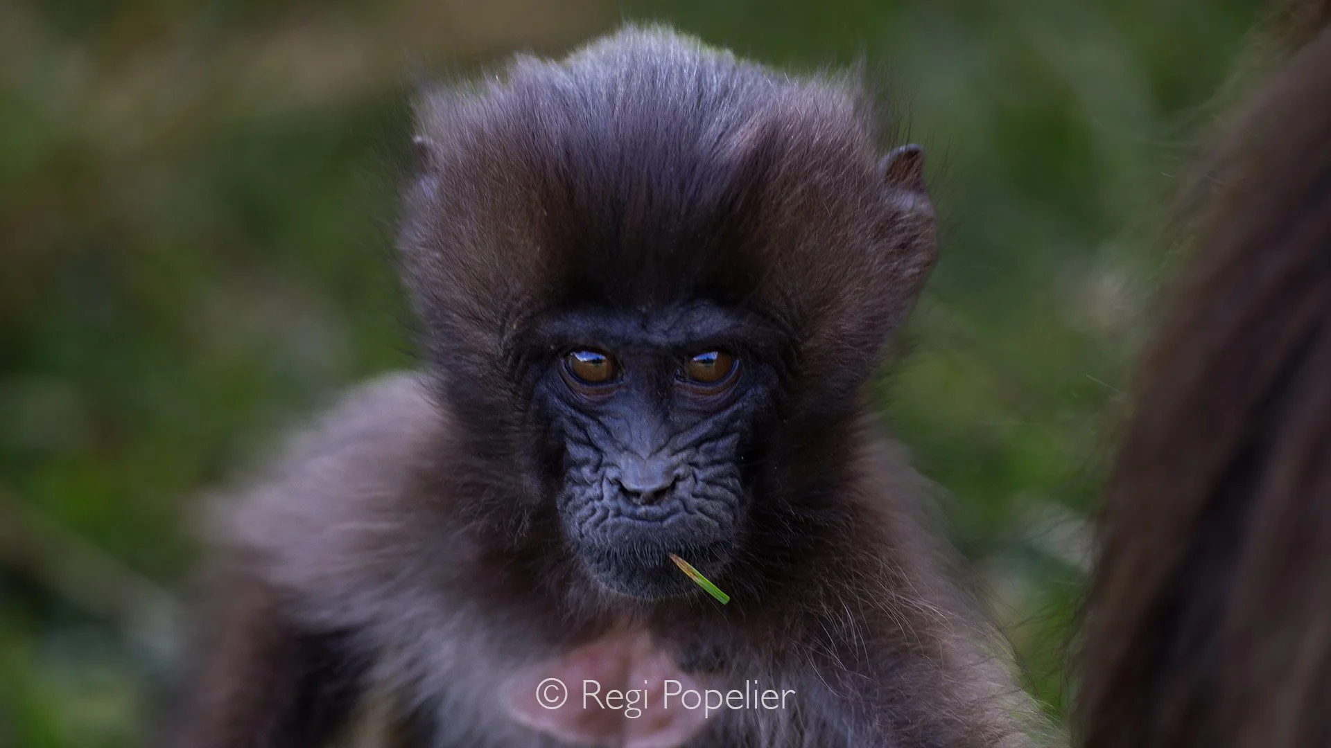 ETH064 - Expressions of a innocent 