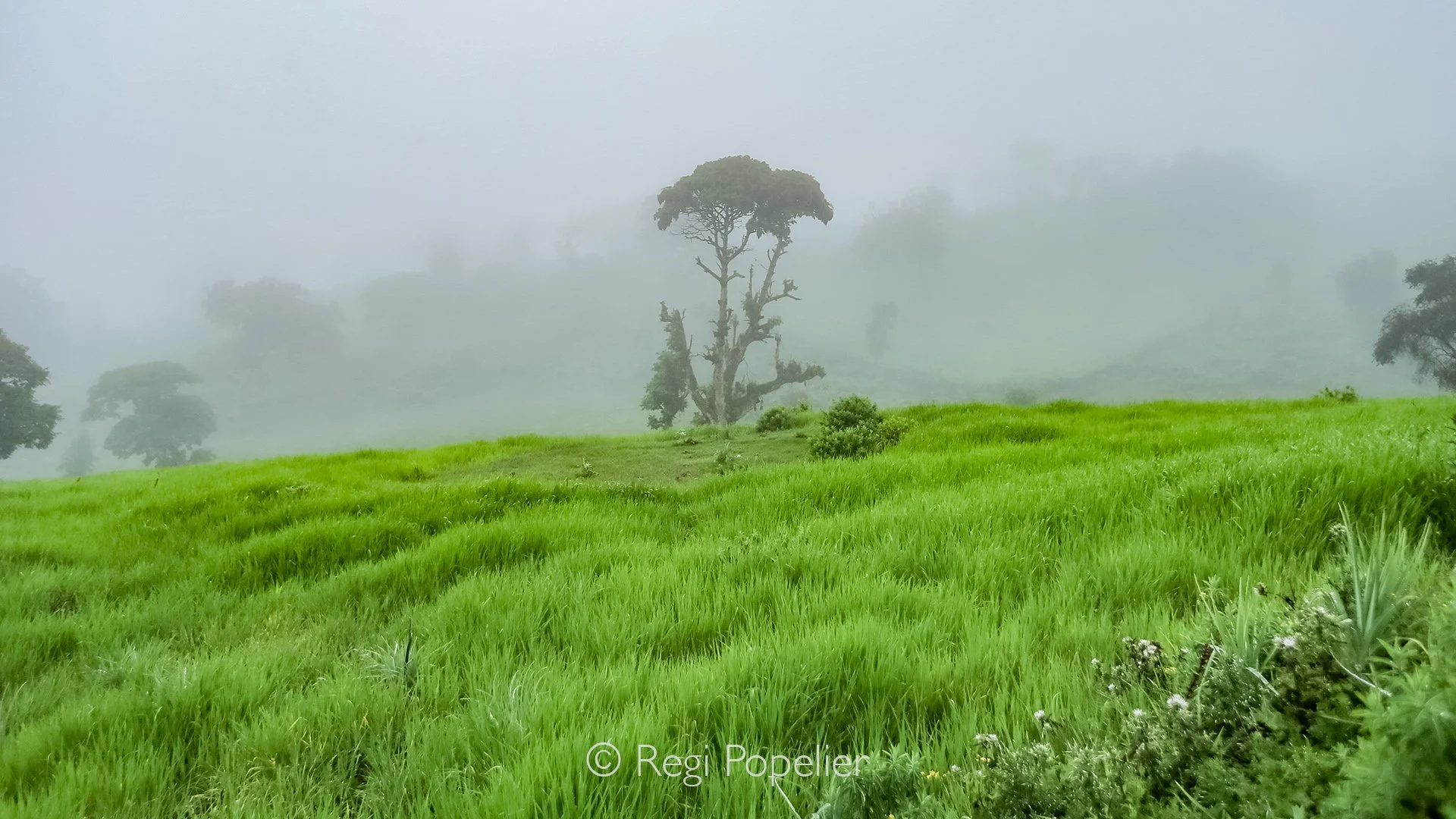ETH004 - Landscape in the brume while starting the 8 day and 128 km mountain walk at Bale NP.