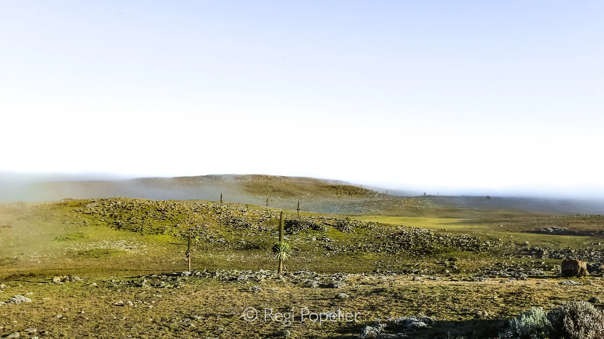 ETH008 - Bale NP at morning