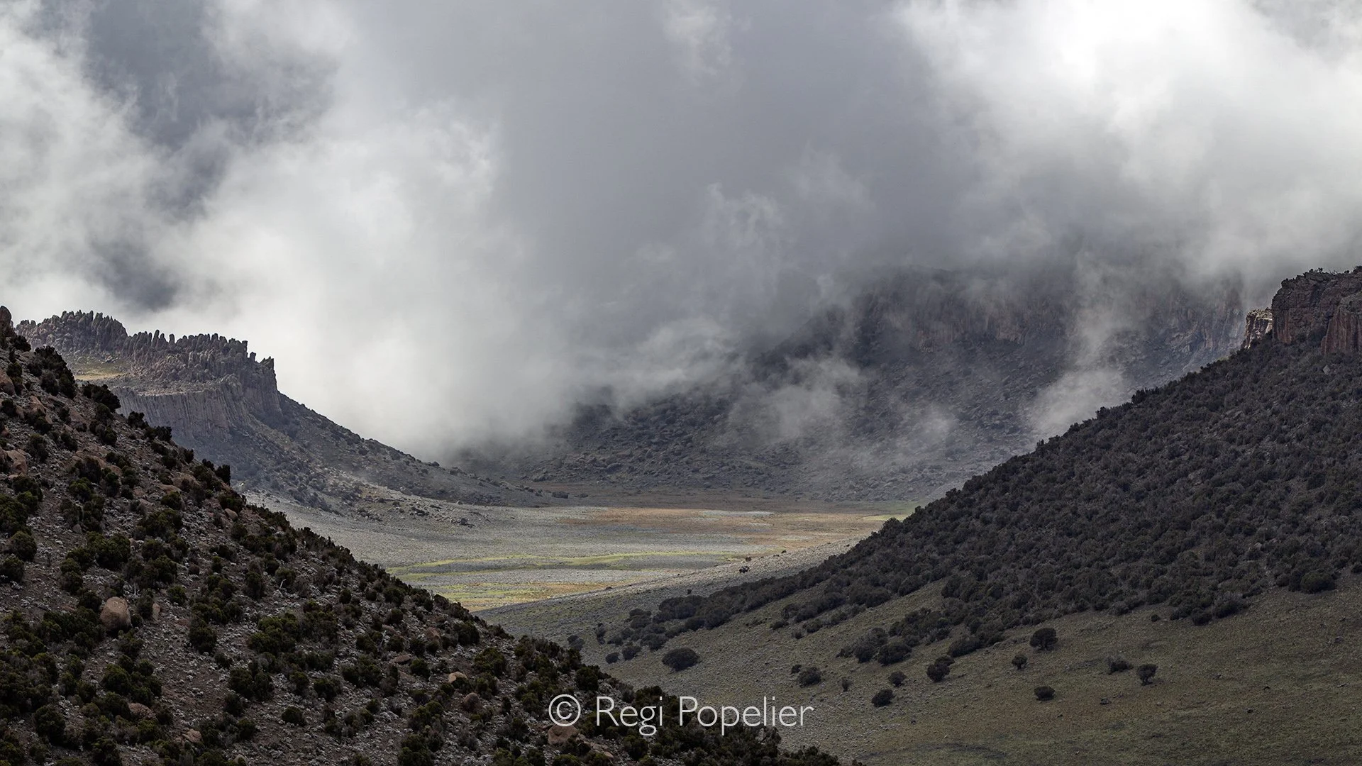 ETH007 - foggy morning  Bale NP