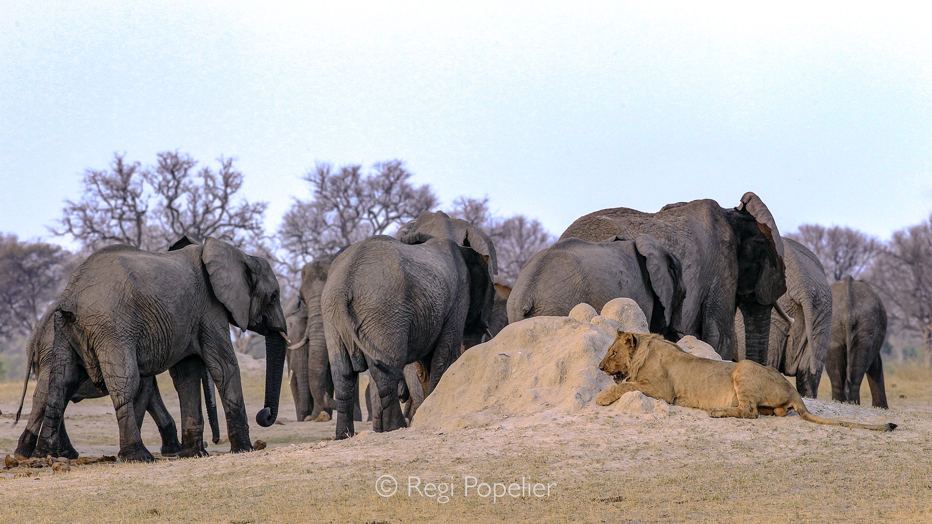 ZIM015 - Same place near to the waterhole.