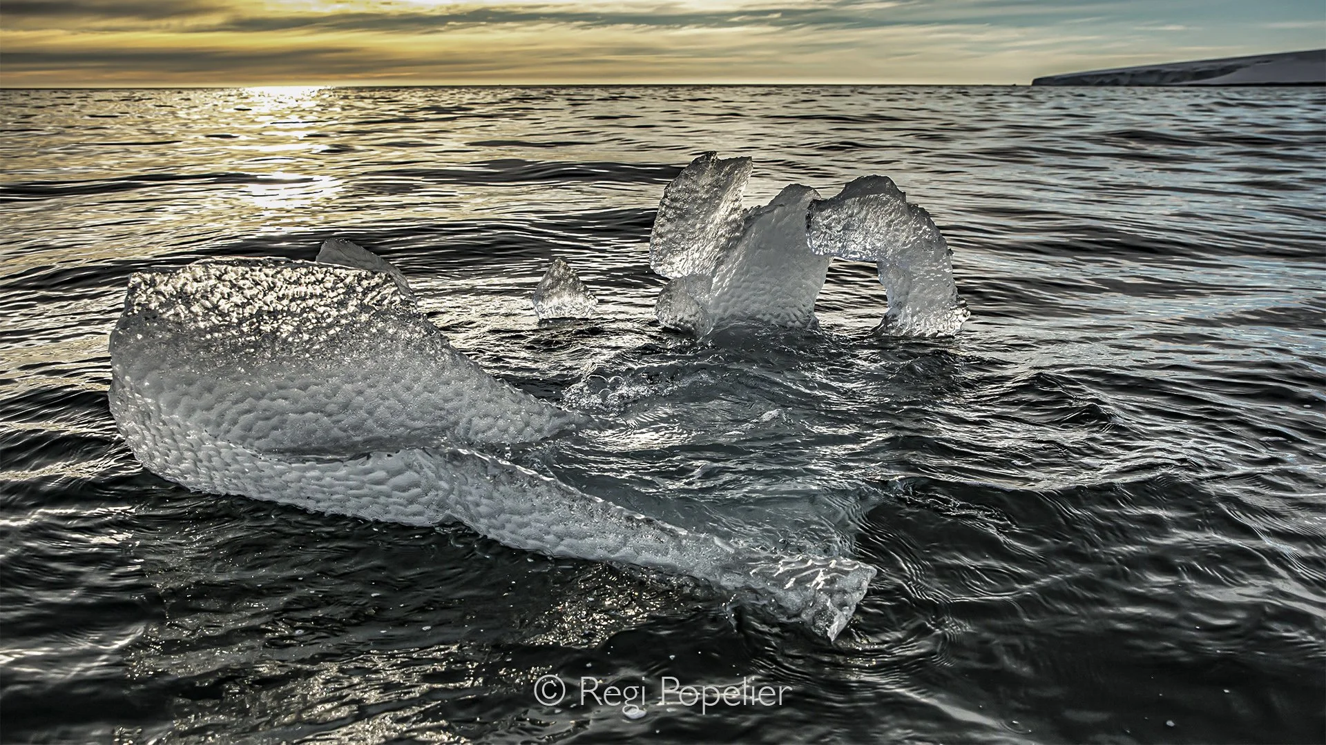 NPOLE056 - Endless horizon with a small iceberg.