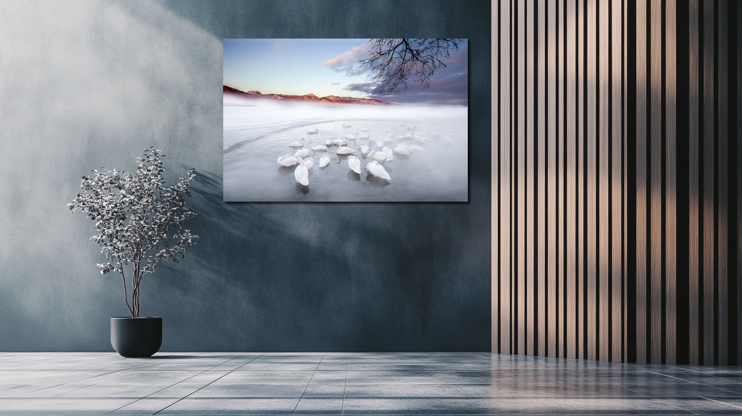 hot springs blauw.jpg