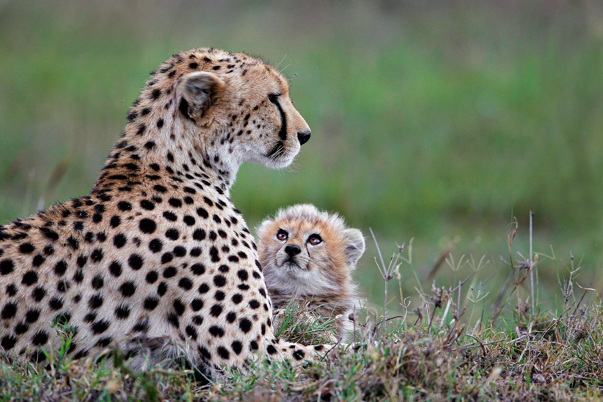 CA 008 Uncertain   BF5R3382   60 x 40 kopiëren kopie.jpg