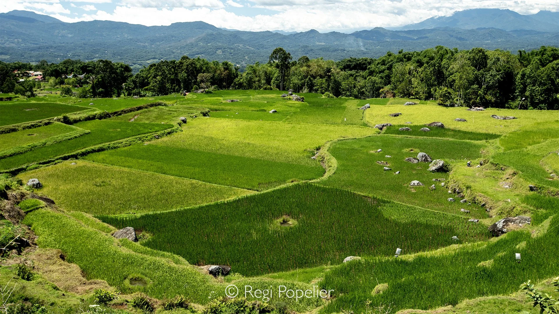 INDO026 - Amazing landscapes. 
