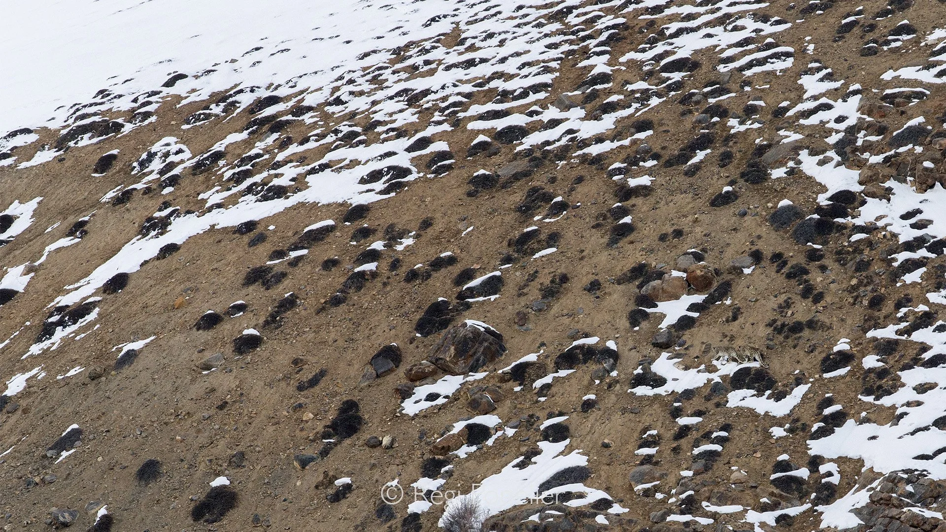 HIMA029 - Have another close look 