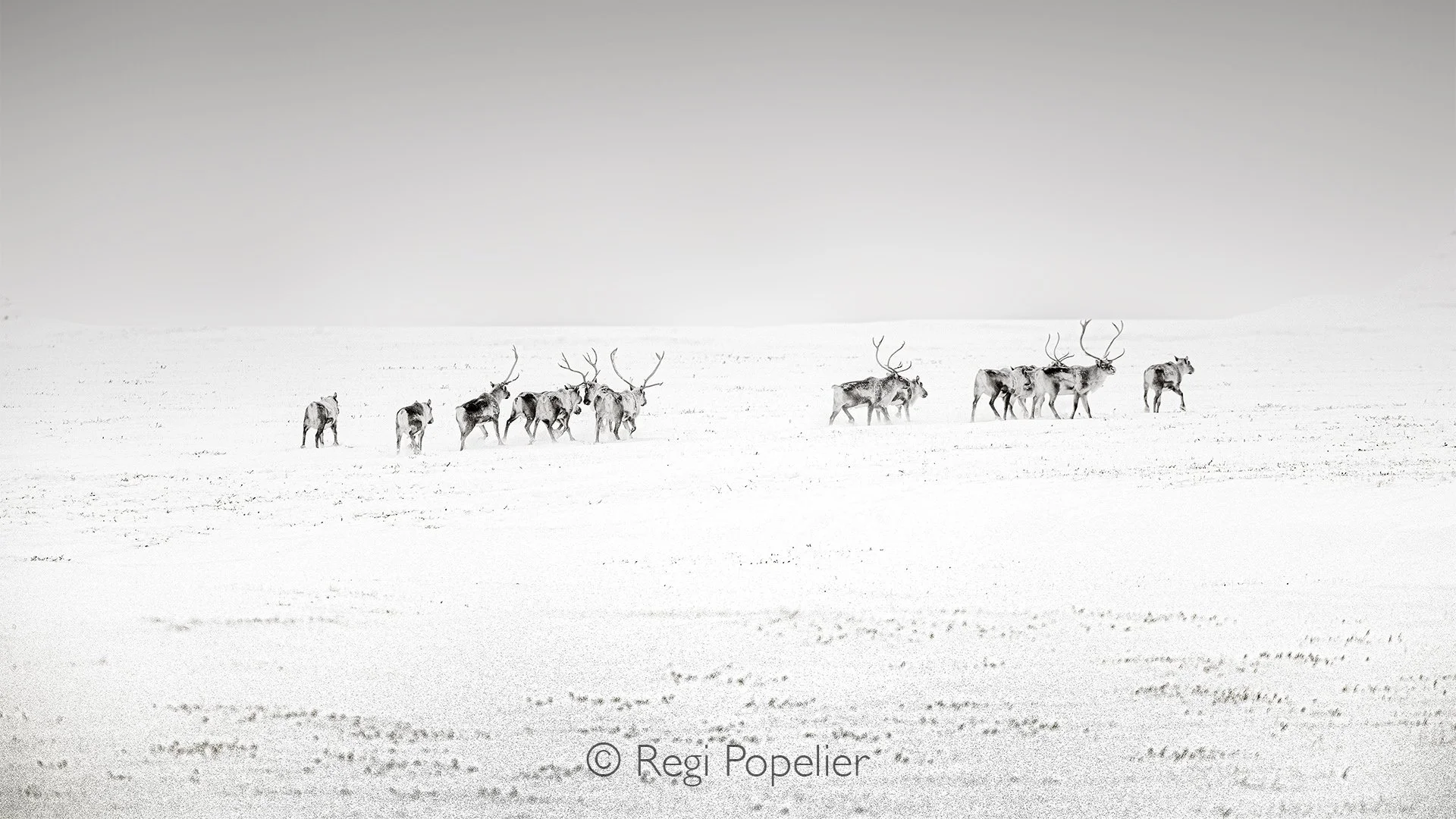 ICEL039 - Passage in the snow