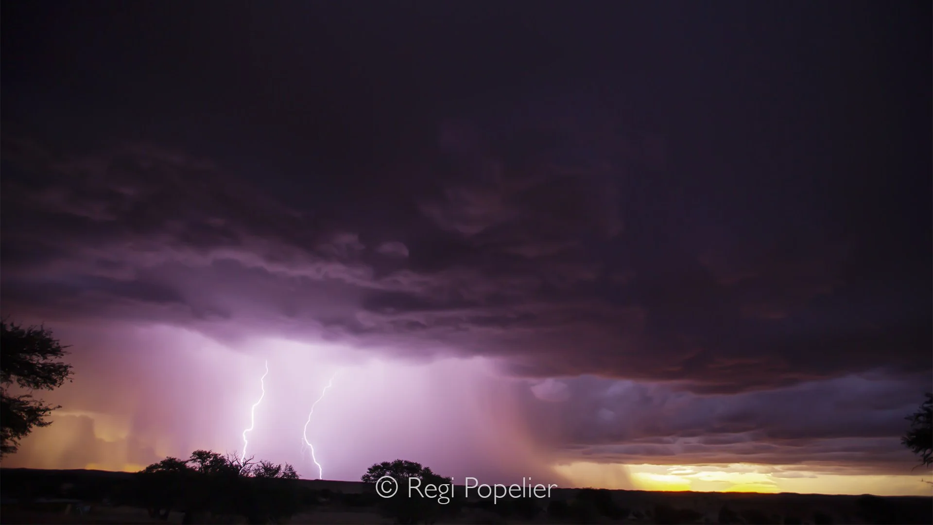 South Africa003 - Few moments rival the raw drama of a thunderstorm rolling across the Kalahari. Lightning tears through the darkened sky, illuminating the ancient dunes for only a heartbeat before darkness returns. The crack of thunder echoes across