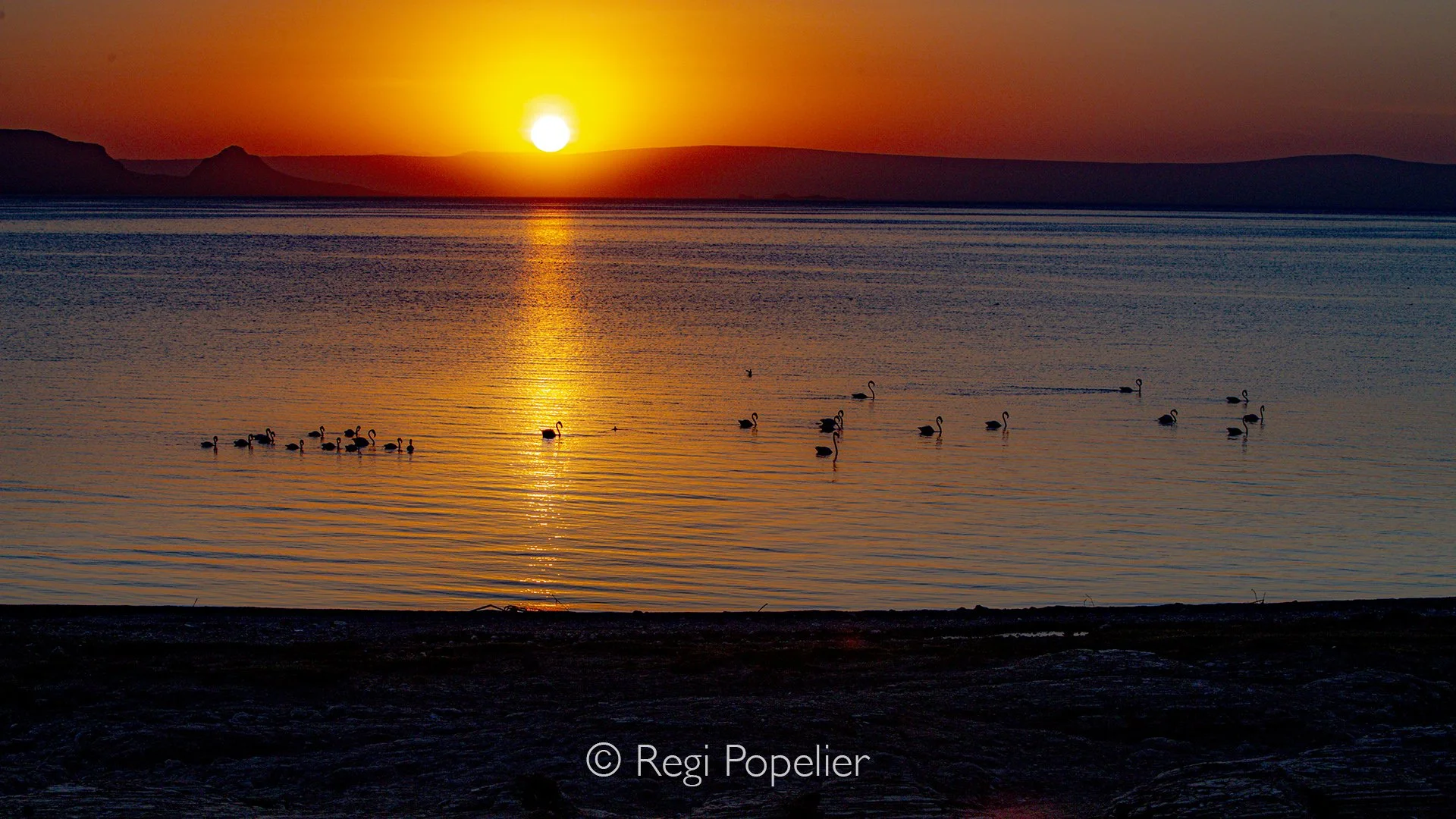 ETH002 - Lake Awassa at sunset. 