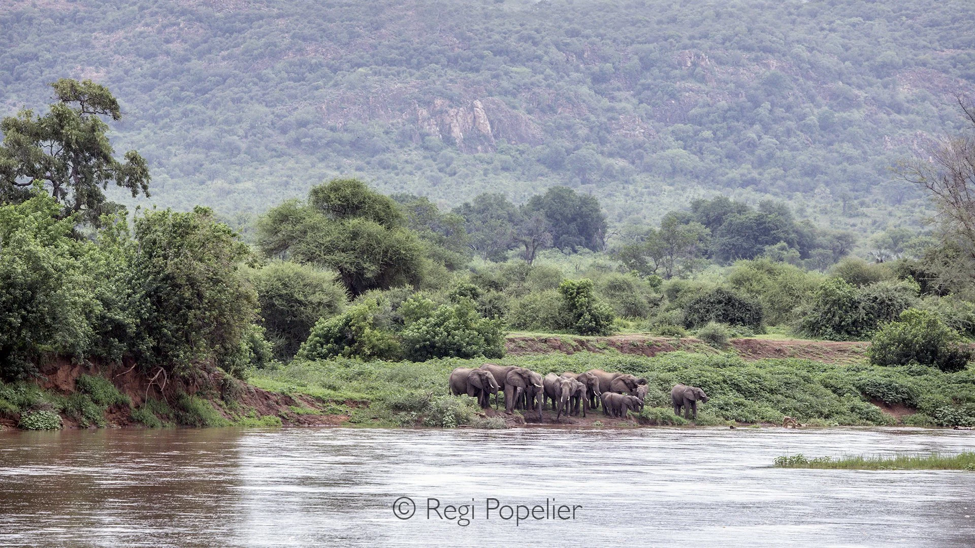 South Africa096 - From the comfort of our lodge, we watched elephants drinking along the Pafuri riverbank. The magnificent landscape behind them, together with the gentle rhythm of the river, created a scene that seemed to capture the very essence of