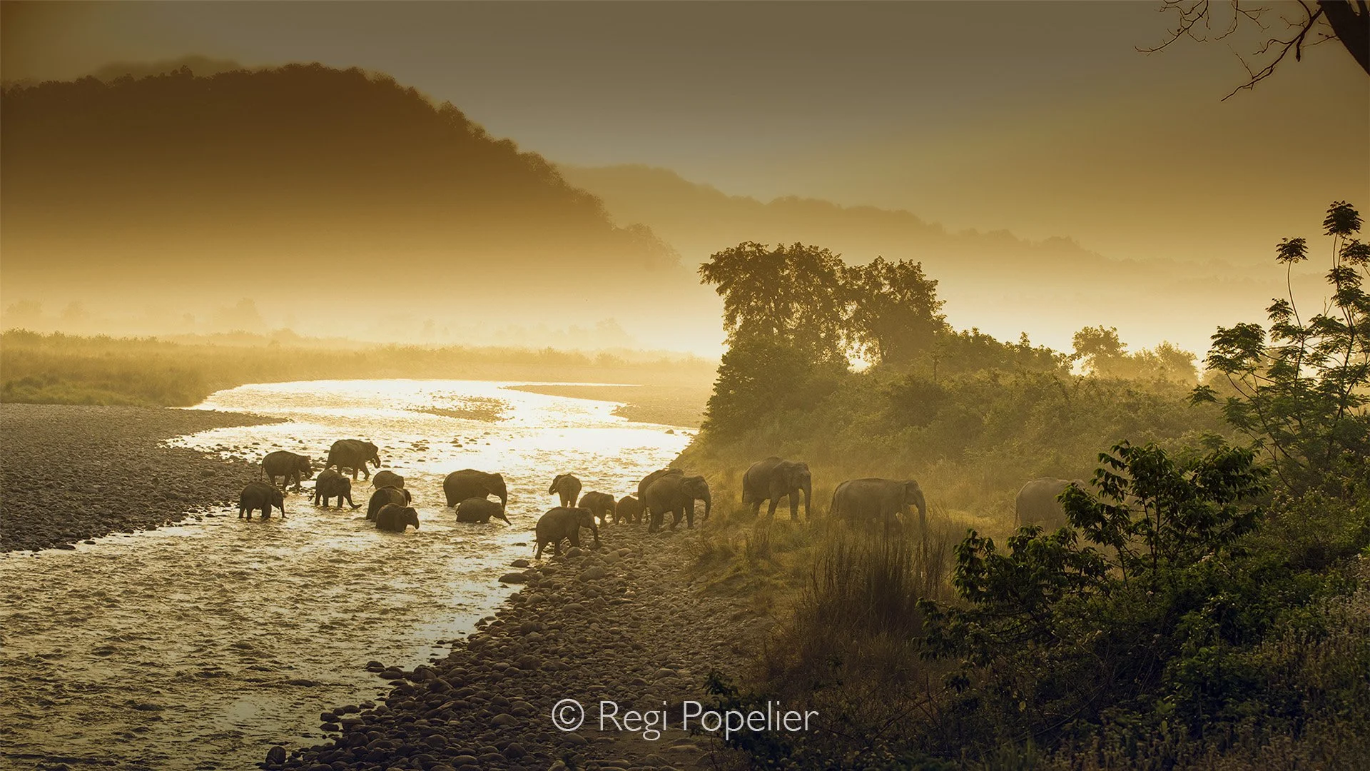 INDIA069 - Playtime and up to the forest 
