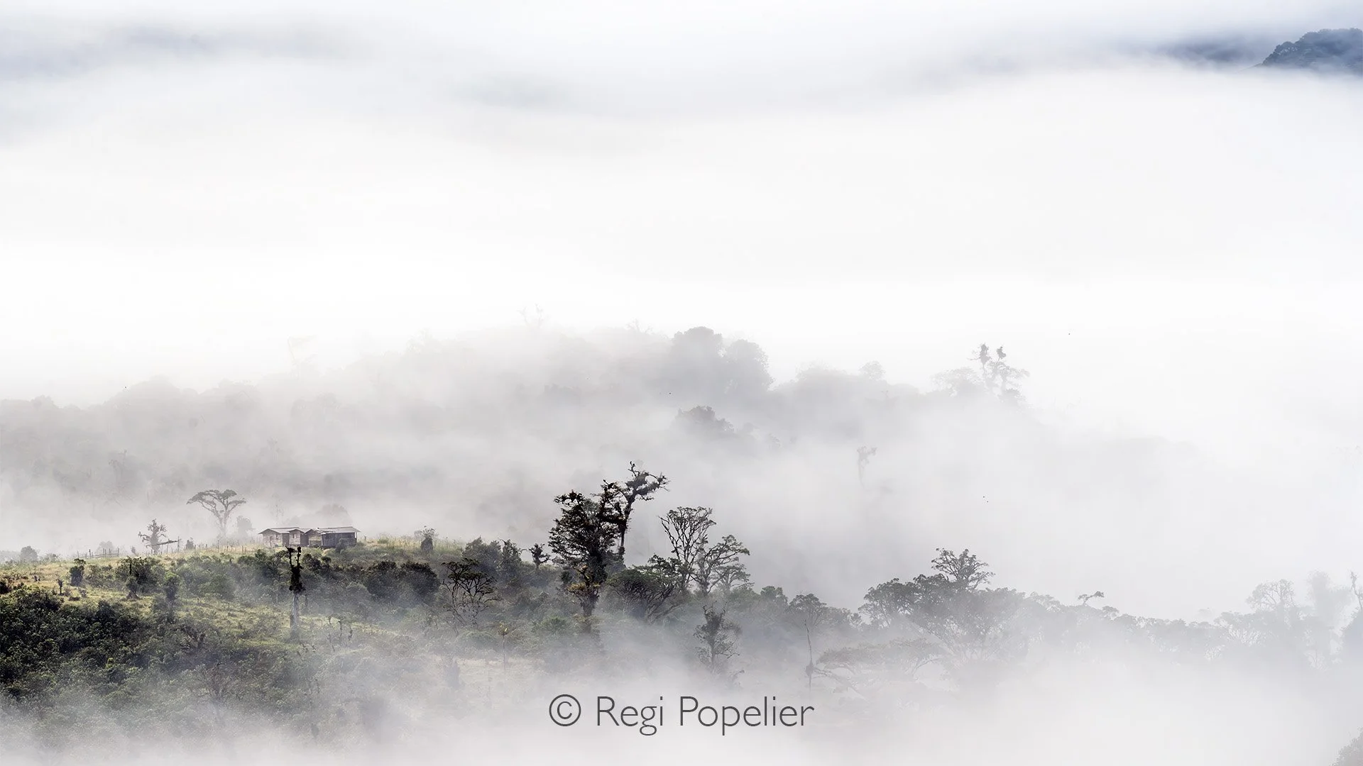INDO001 - Impressions of Sulawesi early morning. 