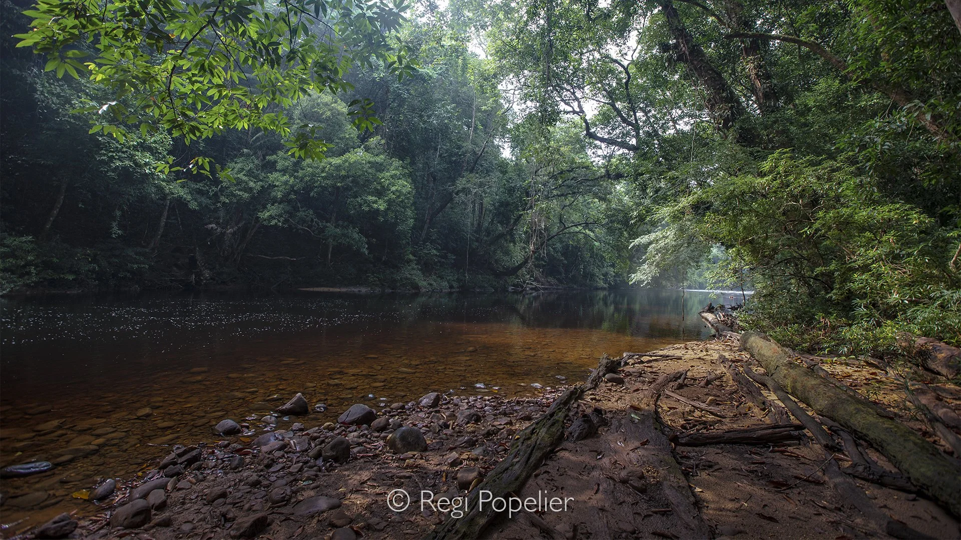 MALAS043 - River in the rainforest.