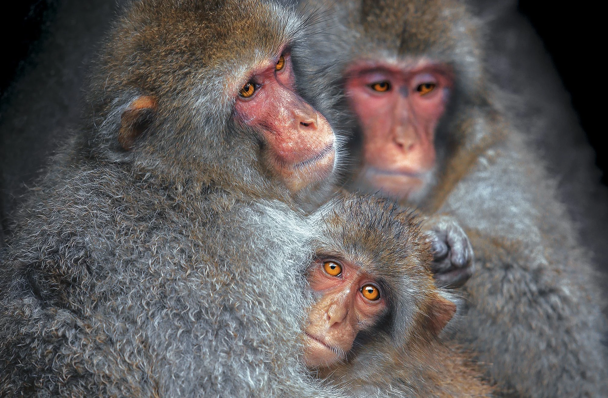 PR 001   Shelter  148x 97 kopiëren.jpg