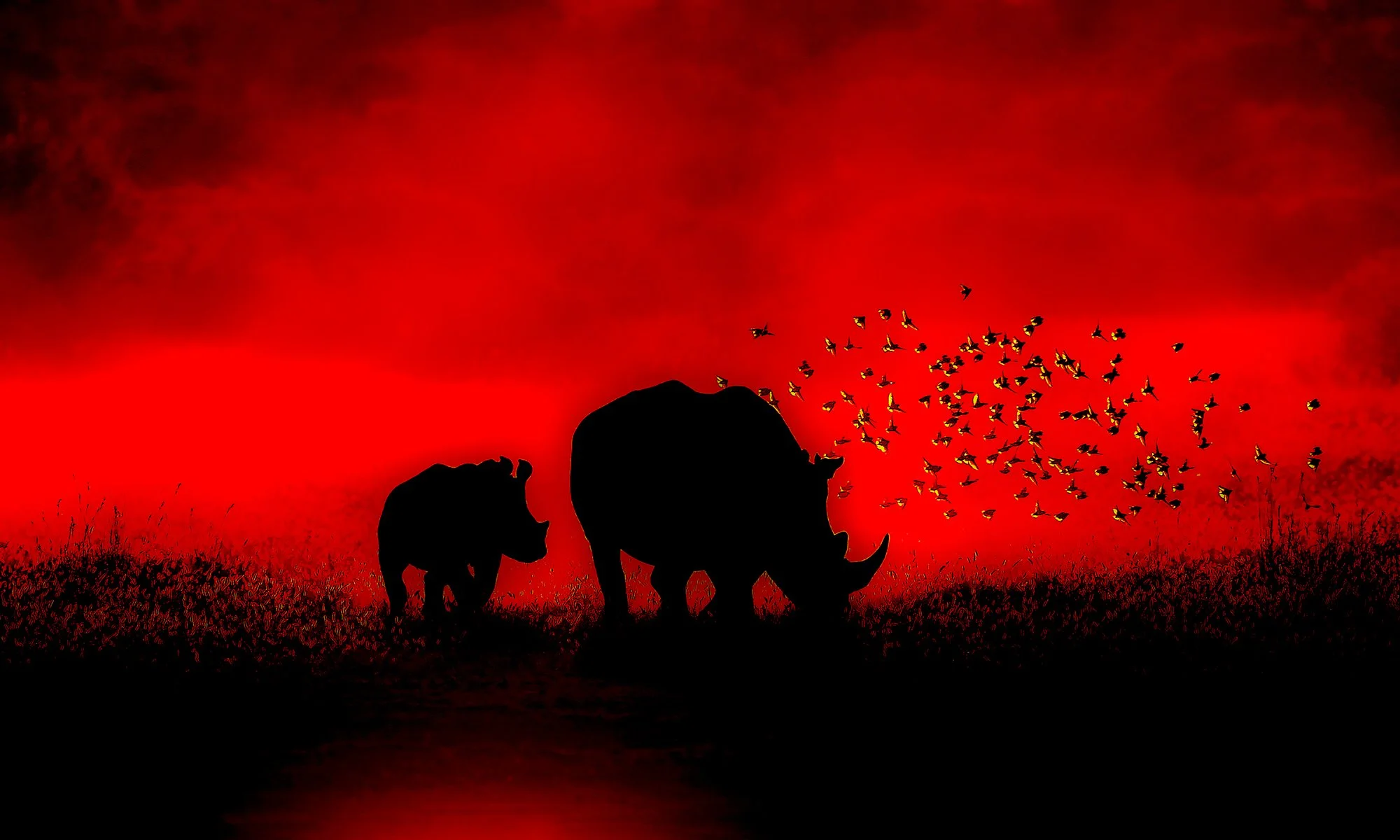 Red Sunset