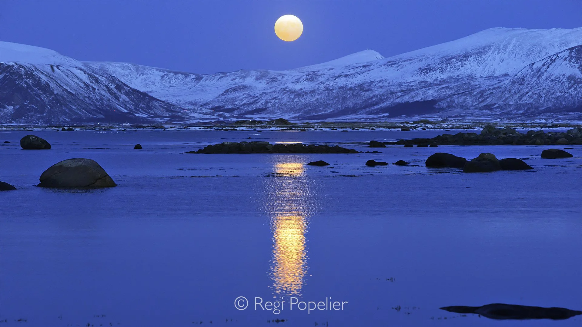 NORWAY023 - Soft blue light before sunrise transforms ice and snow into an ethereal world of subtle tones.