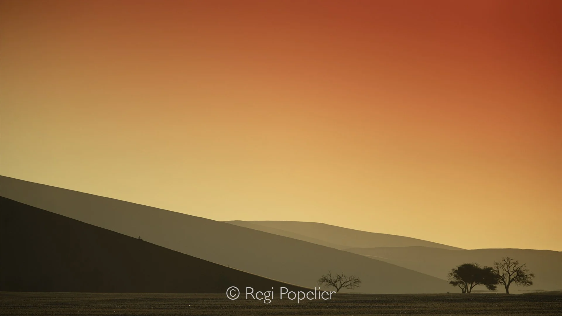 Namibia053 - Sunrise on the road to Deadvlei.