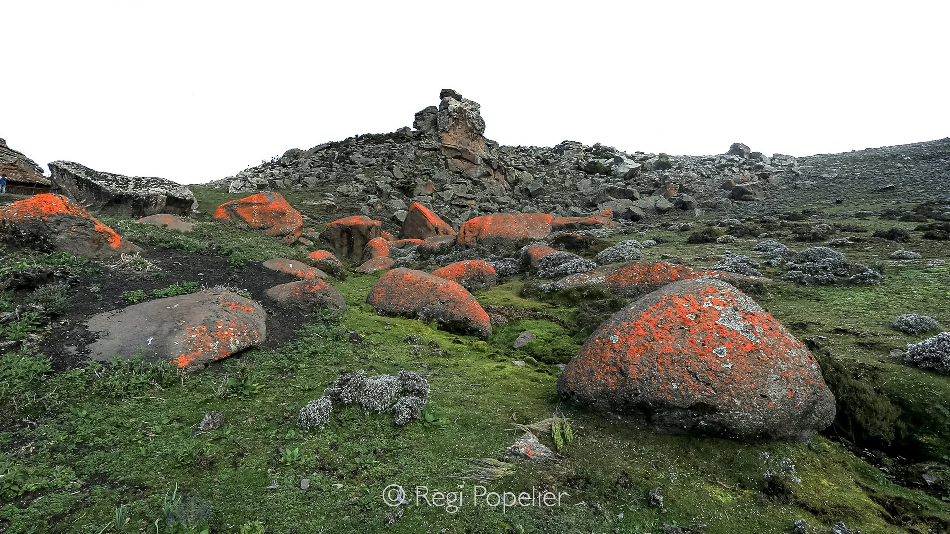 ETH012 - The Saneti Plateau-Bale NP. 