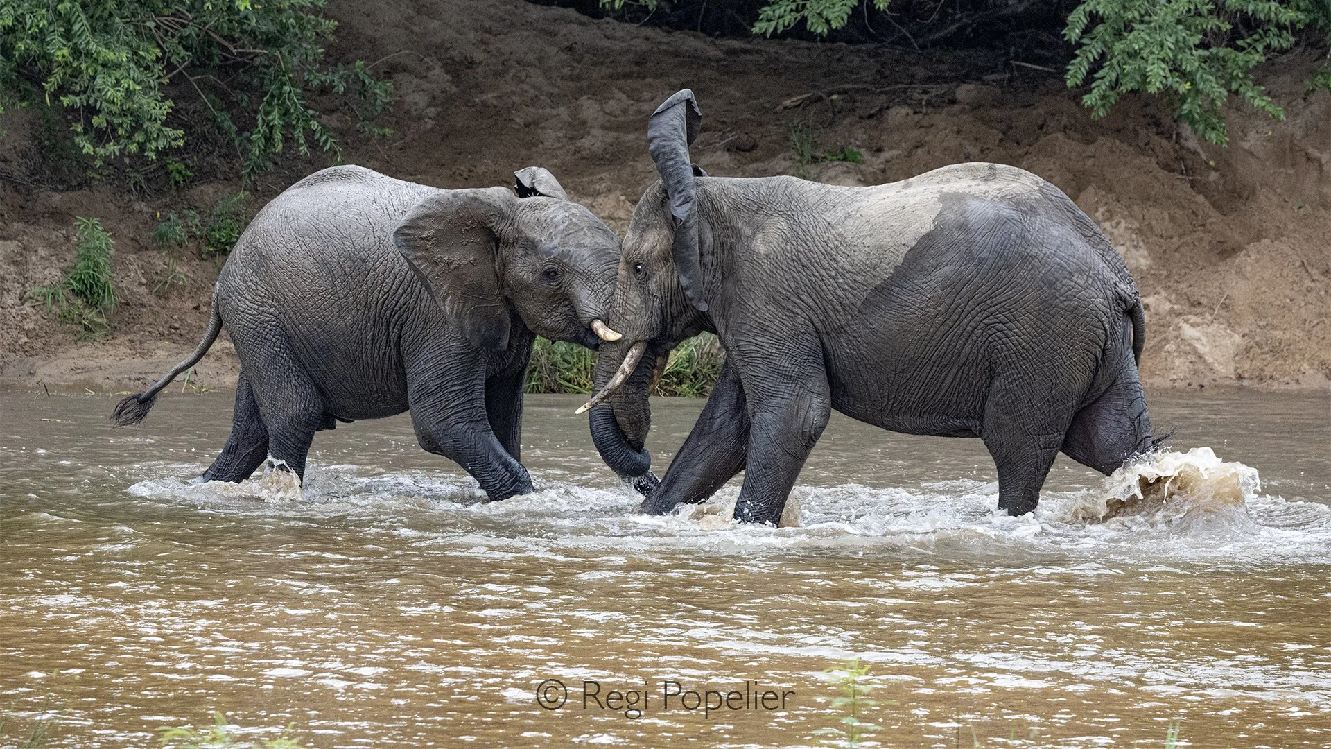 South Africa101 - Maximum leisure. 