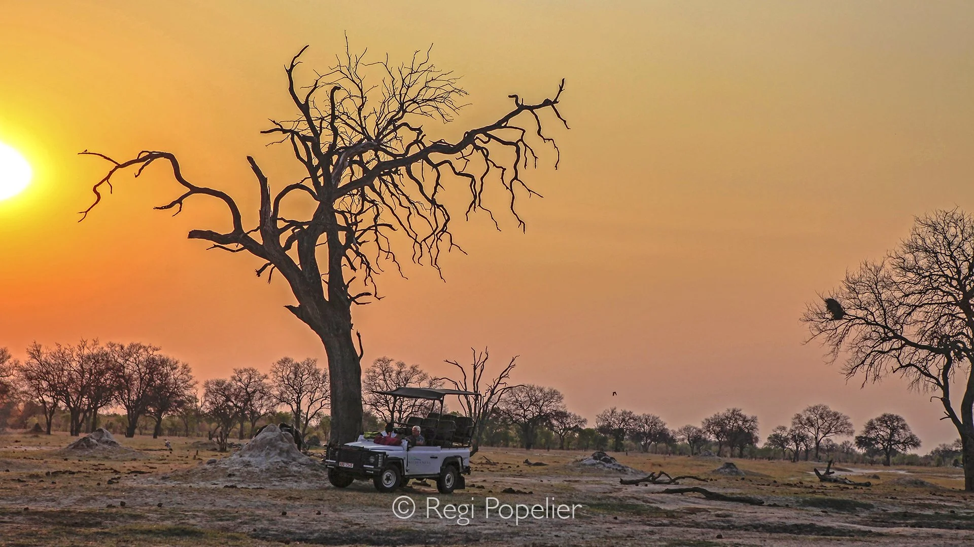 ZIM026 - In the heart of the wild, every great photograph begins with patience and a dash of luck.